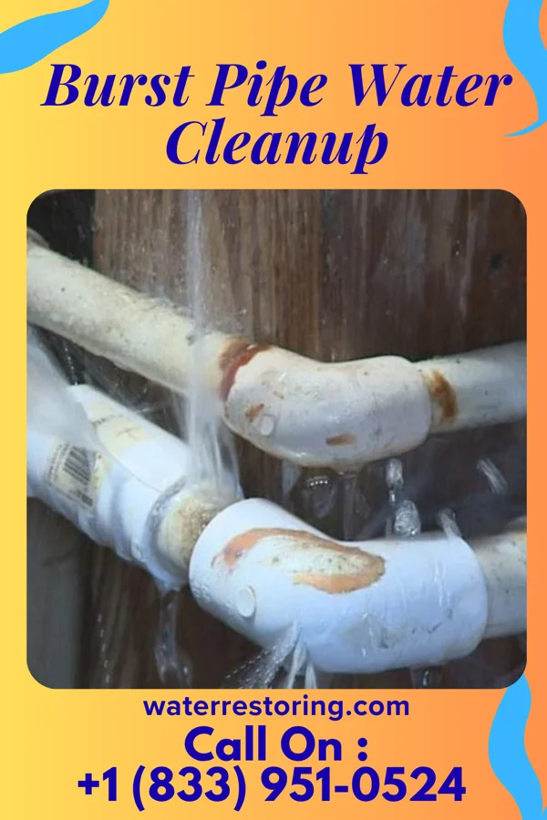 Burst Pipe Water Cleanup in Sherwood, OR